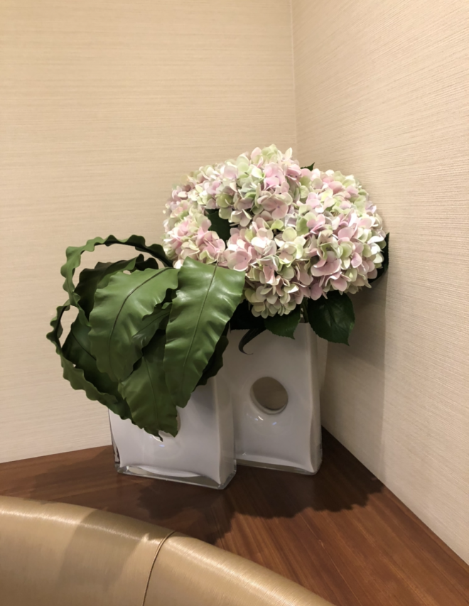 6月の花